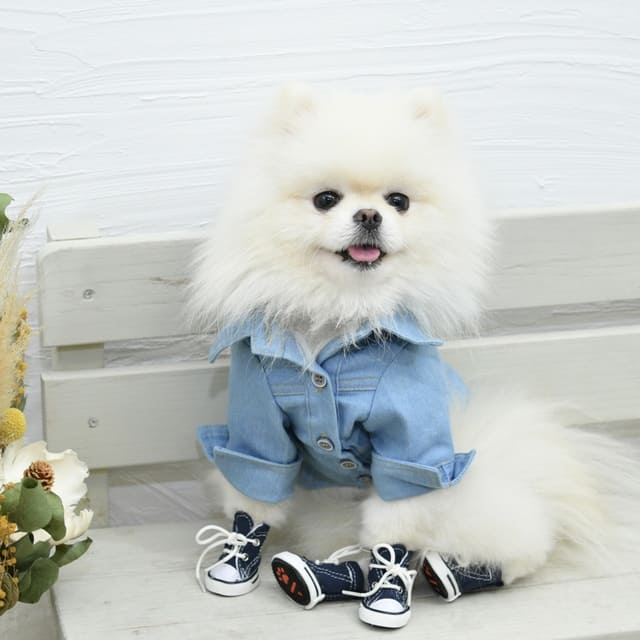 ワンクシア　Wanqusia　犬服　ペット服　わんくしあ　犬服かわいい　犬靴