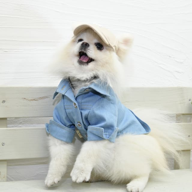 ワンクシア　Wanqusia　犬服　ペット服　わんくしあ　犬服かわいい　犬服夏物　犬帽子